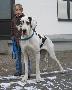 Josie Vom W�chterberg
