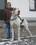 Josie Vom W�chterberg