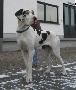 Josie Vom W�chterberg