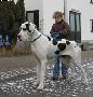 Josie Vom W�chterberg