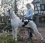 Josie Vom W�chterberg
