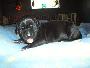 Gargamel Vom M�rchenland