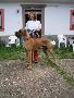 Pedro Bocca D�tigre