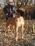 Pauli Bocca D�tigre