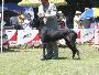 Camero Bocca D�tigre