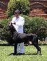 Camero Bocca D�tigre