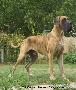 El Suano Bocca D�tigre