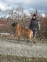 El Suano Bocca D�tigre