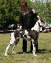 Magic Alaunt D�apple