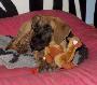 �mar von der Wolfsh�hle
