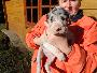 Quitana vom Sch�ntal