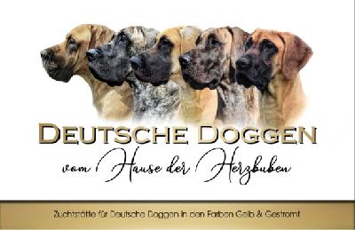 vom Hause der Herzbuben